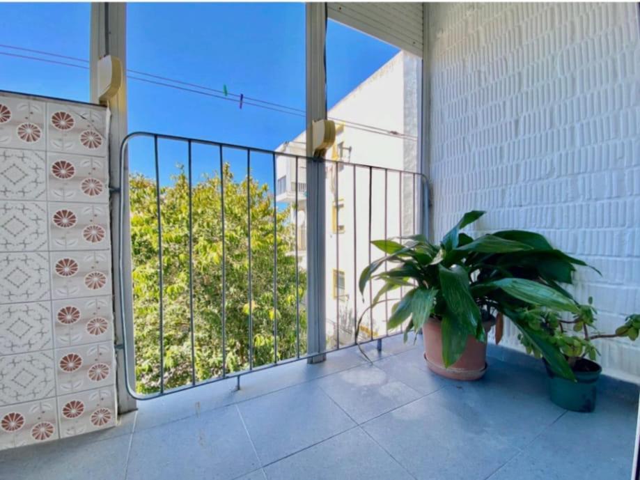 Solea Apartment Jerez de la Frontera Bagian luar foto